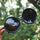 LuxVision Gafas